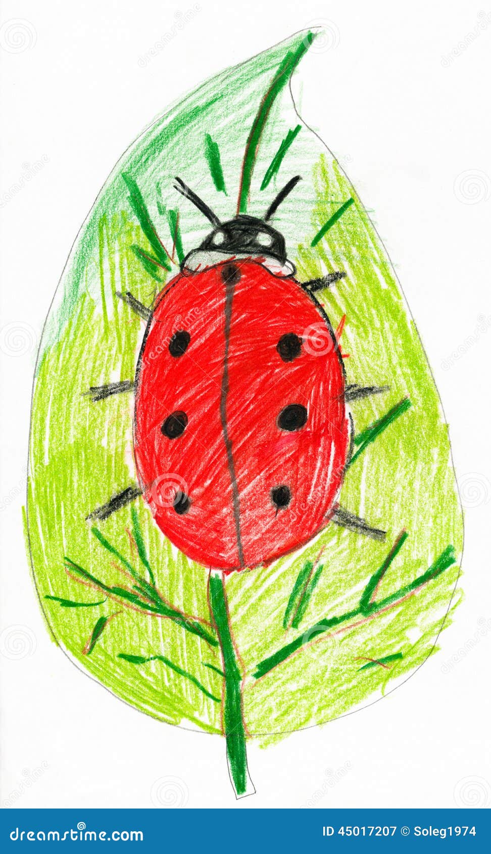 How to draw a cute ladybug - ladybird - YouTube