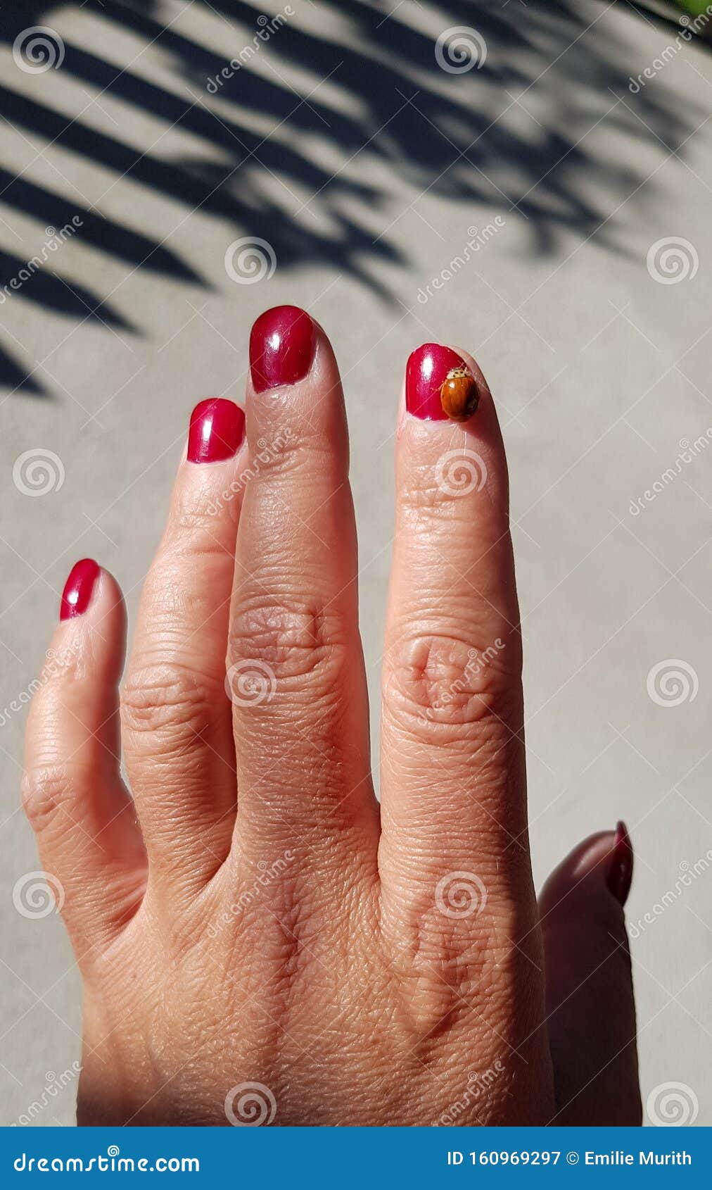 gans Pak om te zetten Grand Ladybug Op Vingers Met Rode Nagels, Rode Atmosfeer Stock Afbeelding - Image  of liefde, lieveheersbeestje: 160969297