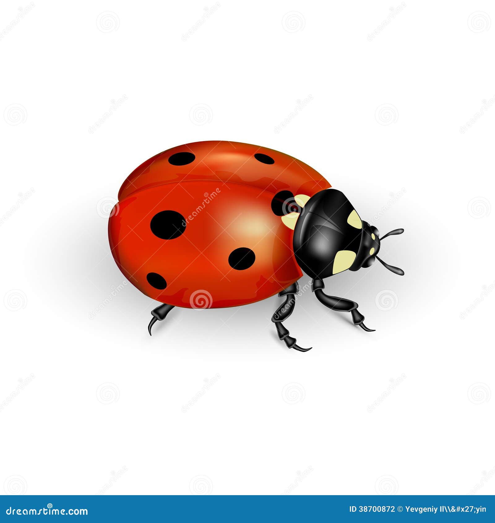 Download Ladybug Insect Illustration Royalty-Free Stock