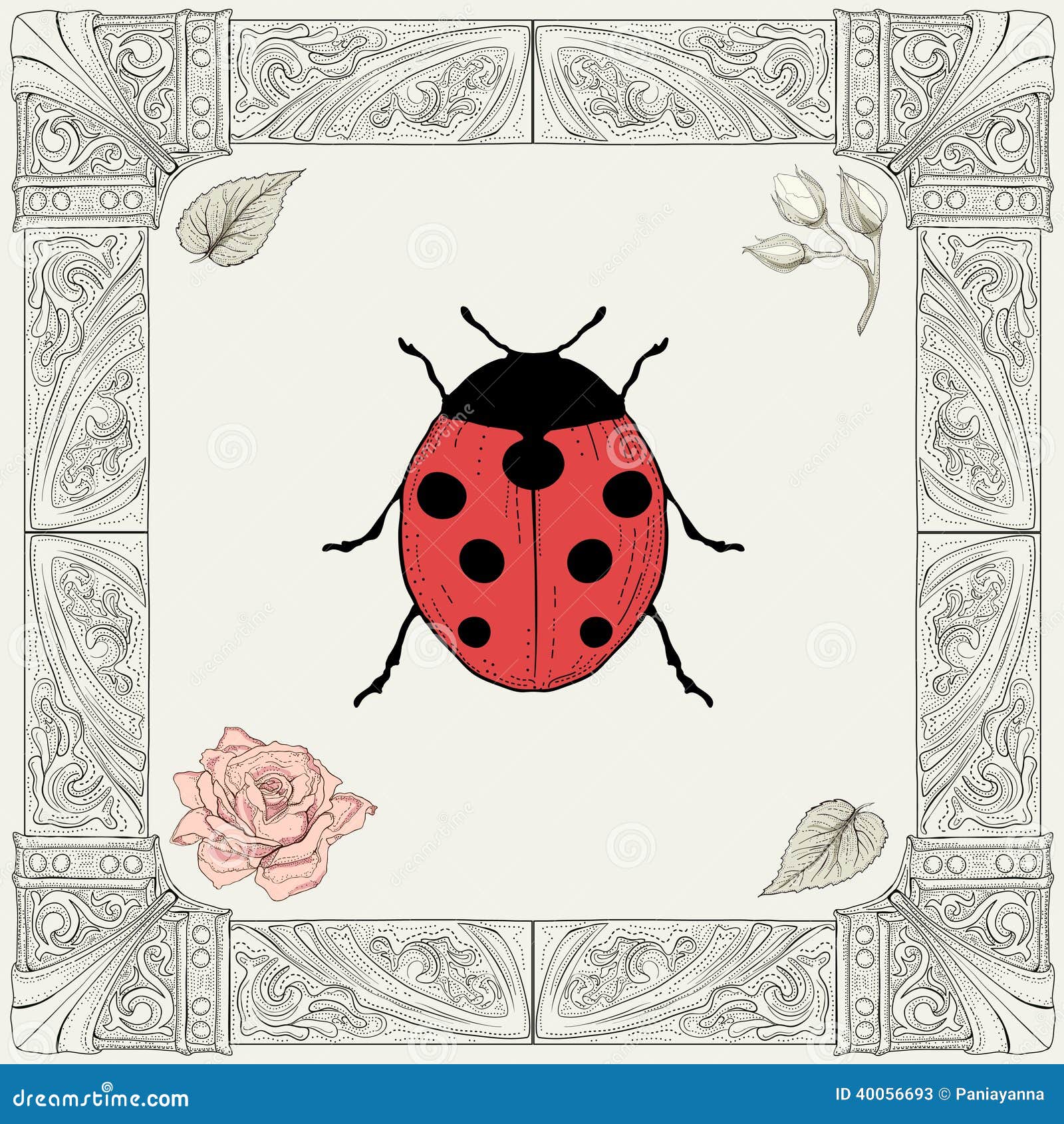 Ladybird stock vector. Illustration of macro, detail - 43506978