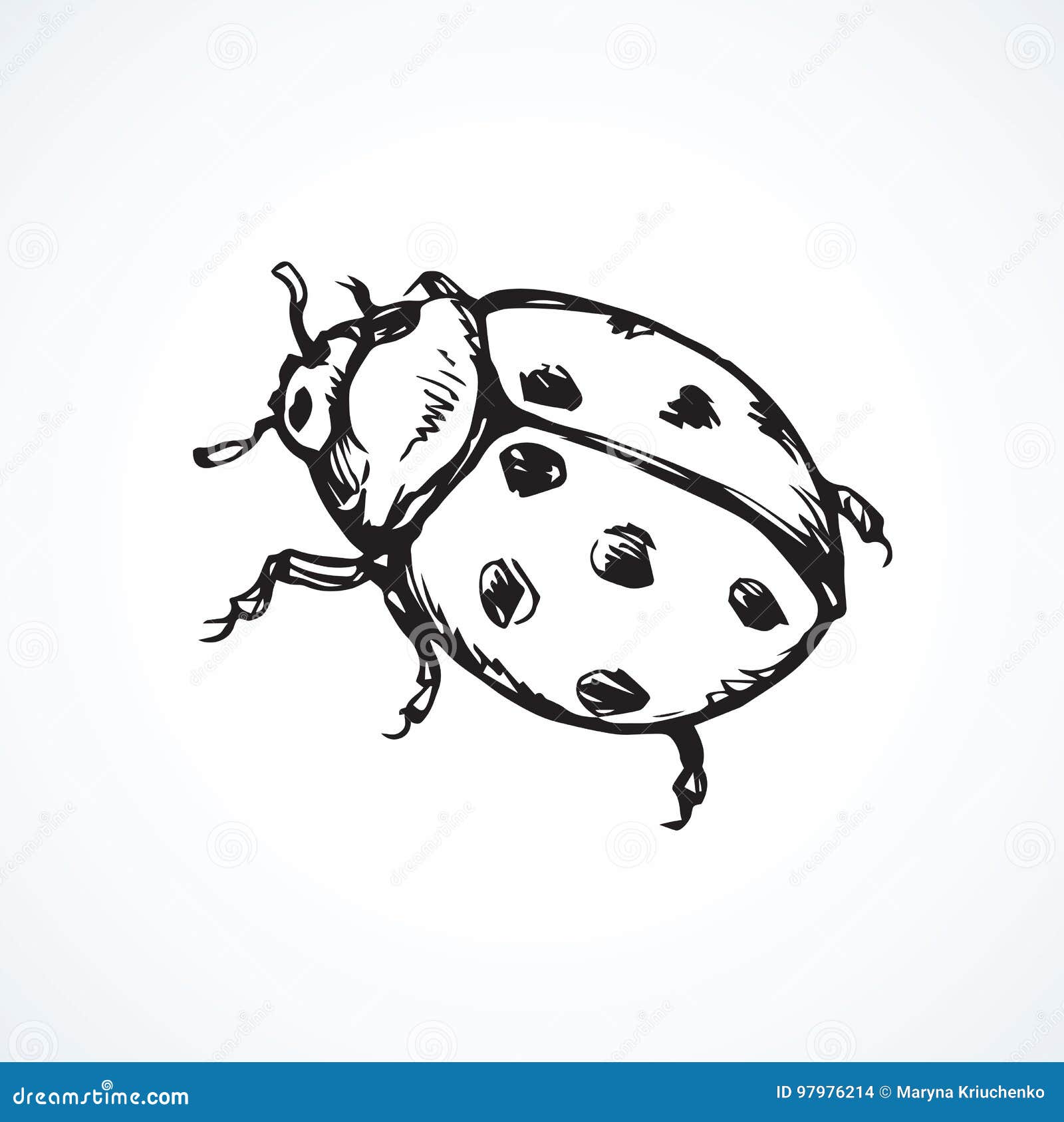 Ladybug. Vector drawing stock vector. Illustration of garden - 97976214