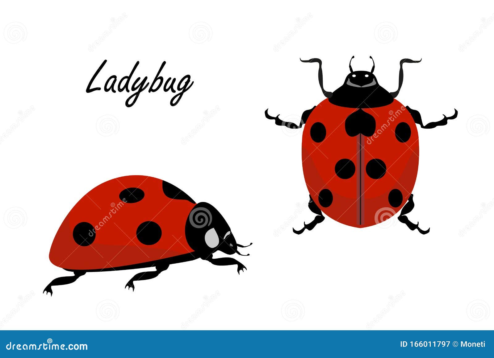 Ladybug Vector On A White Background. Cute Simple Flat ...