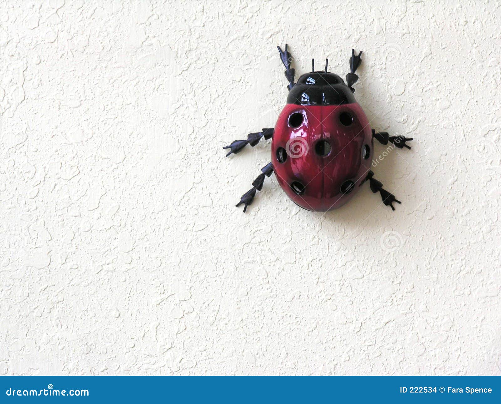 Ladybug On White Background Stock Photo - Image of creature, creepy: 222534