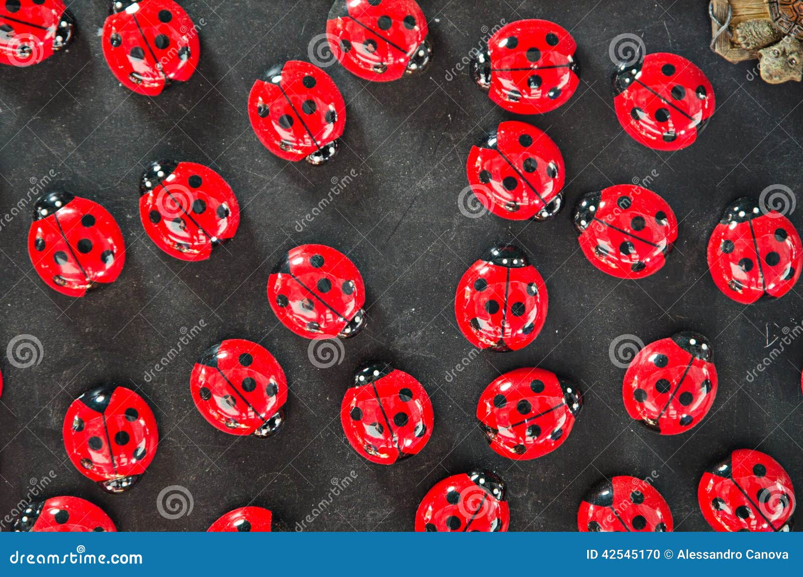 Ladybugs Stock Photos Free & RoyaltyFree Stock Photos from