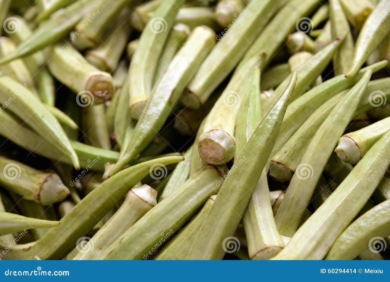 Ladyfinger stockfoto. Bild von indisch, grün, griechisch 60294414