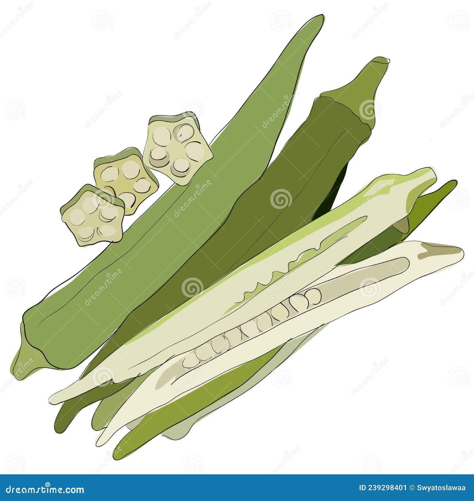 Ladyfinger, Okra Vector Illustration Stock Vector Illustration of