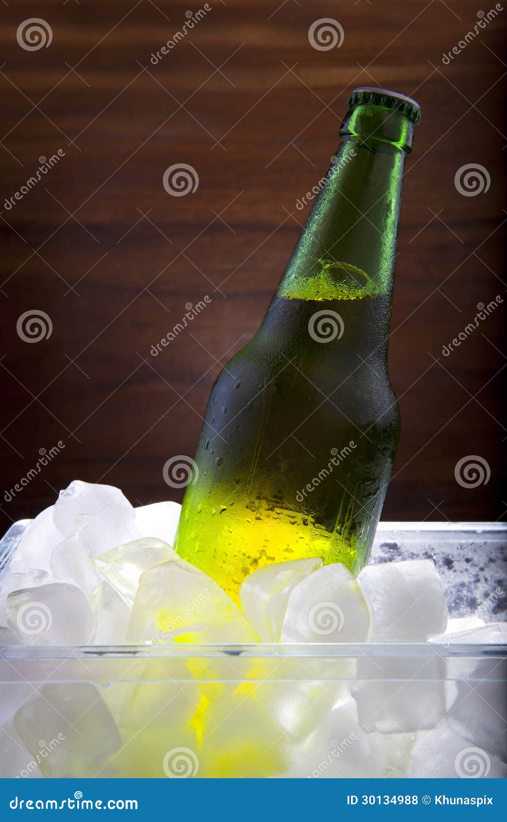 Lager beer in ice cooler stock photo. Image of green 30134988