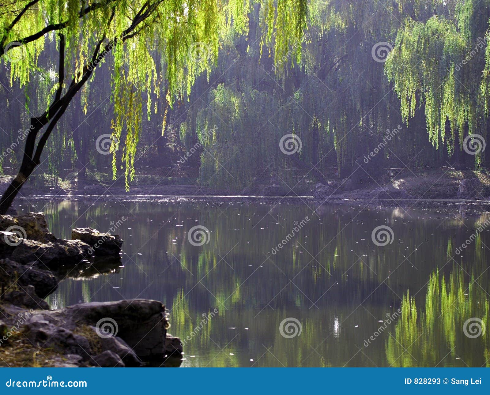 Este lago em um jardim, o nome é Zizuyuan, meios é roxo bamboogarden.