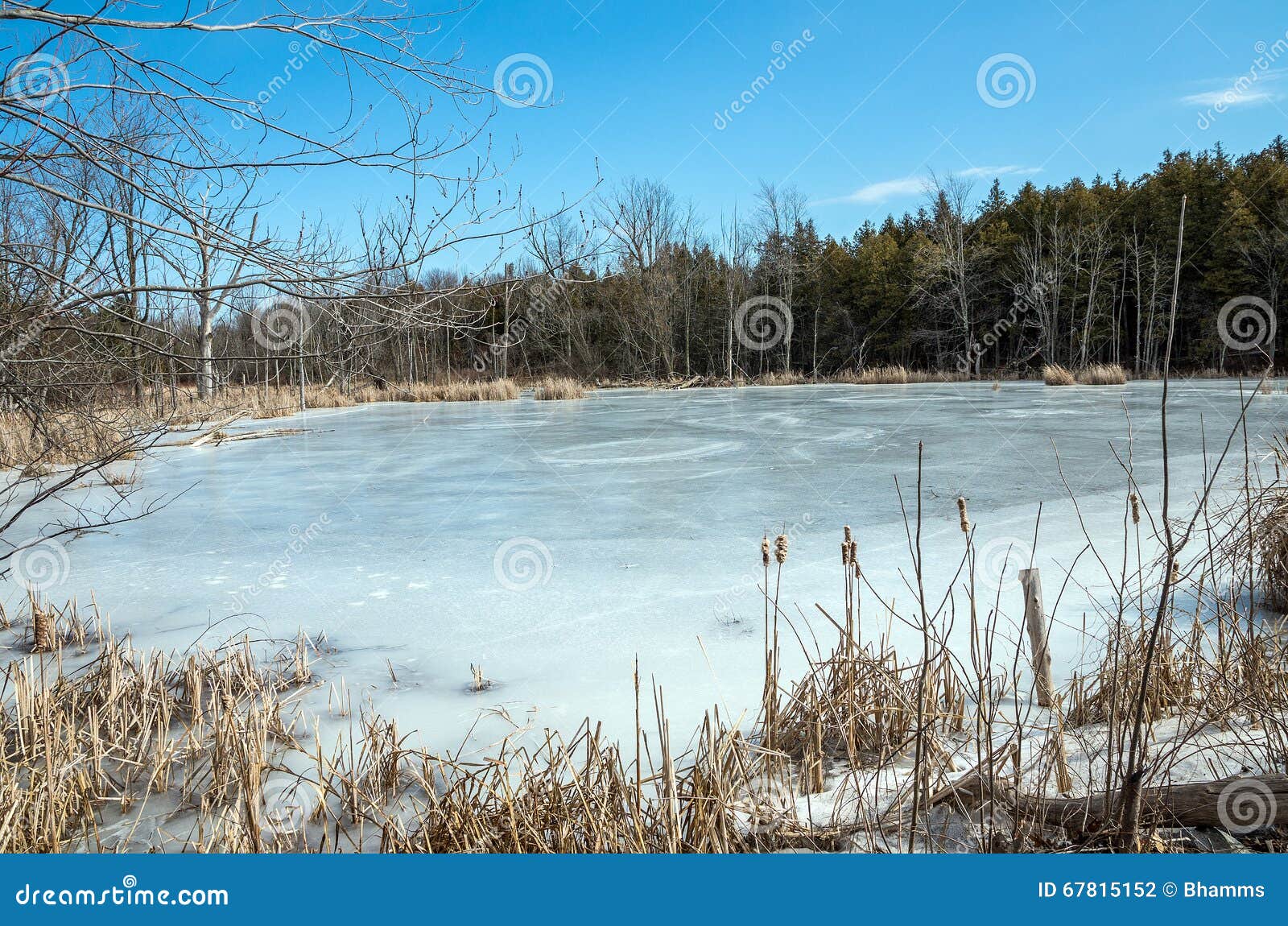 Lago Champlain congelado foto de stock. Imagem de manchas 67815152