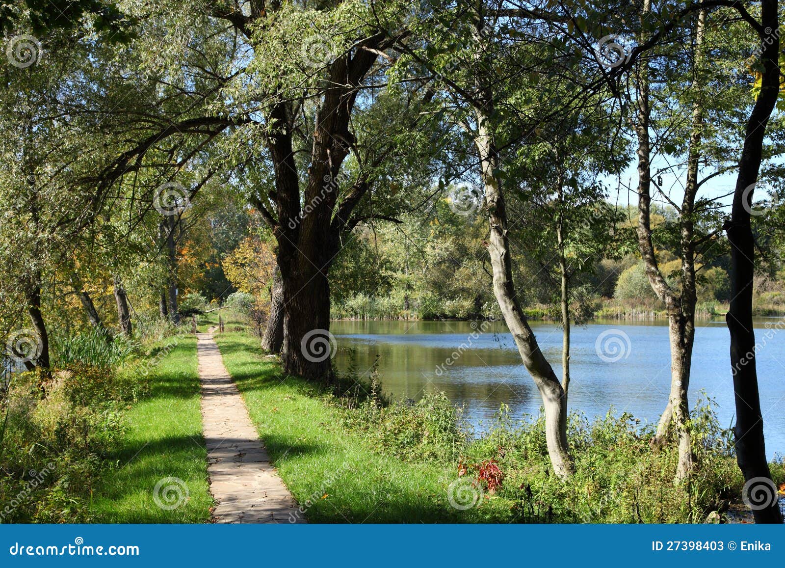 Lago del bosque imagen de archivo. Imagen de camino, azul 27398403