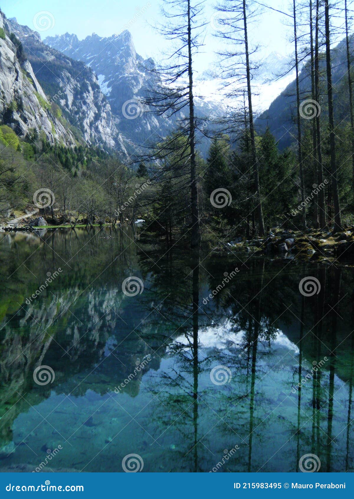 lago di acqua verde trasparente con alberi riflessi