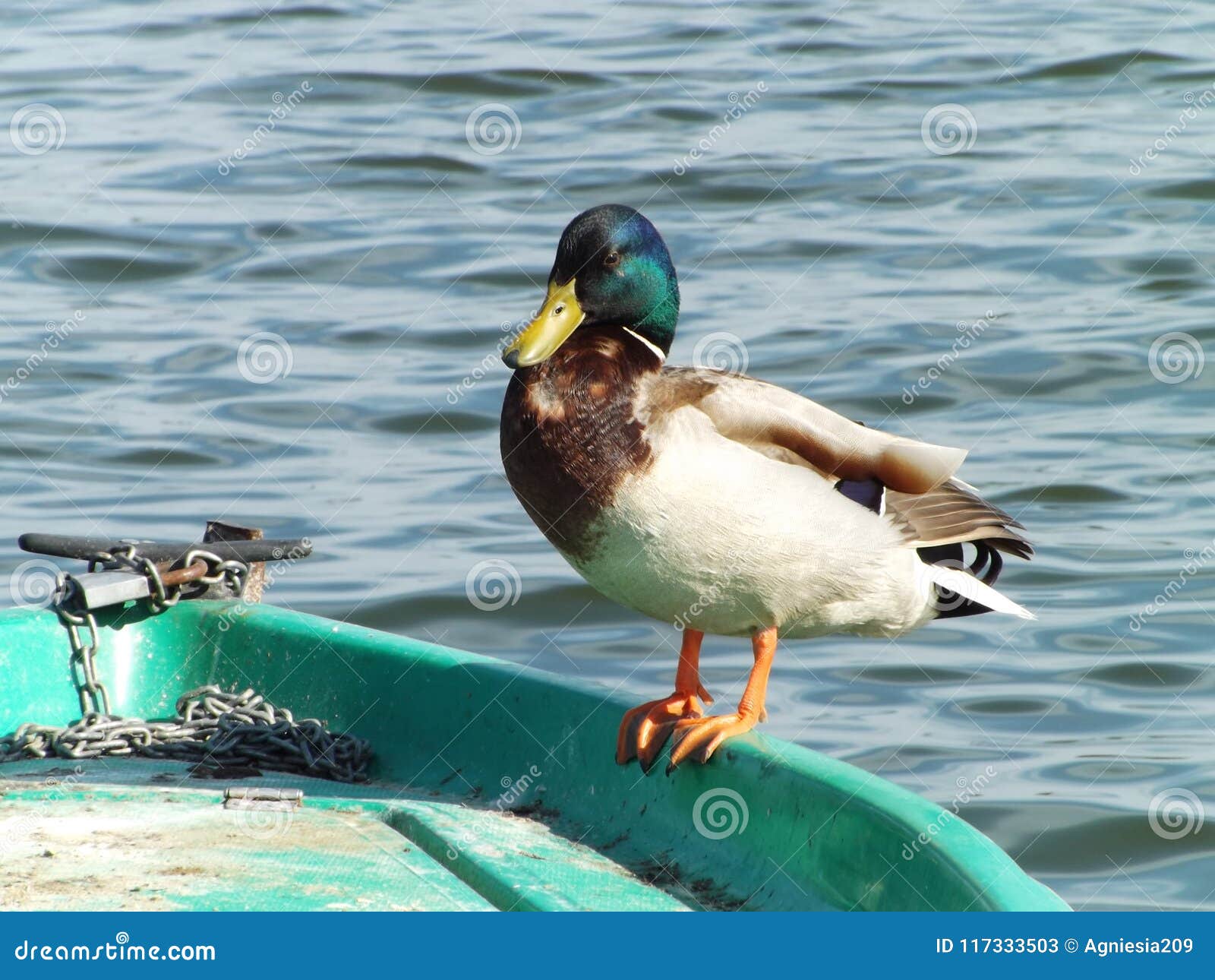 Ducklings .io  Patos, Barcos