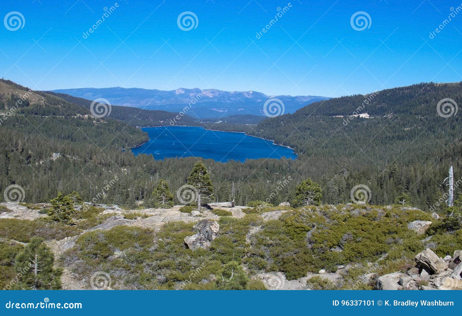 ebook reflections on a mountain