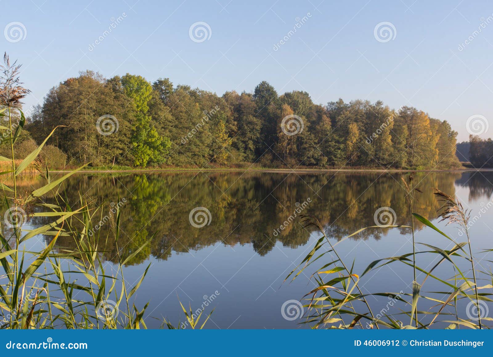 Lago en caída. Una pequeña charca al lado de Schwandorf en Baviera en otoño