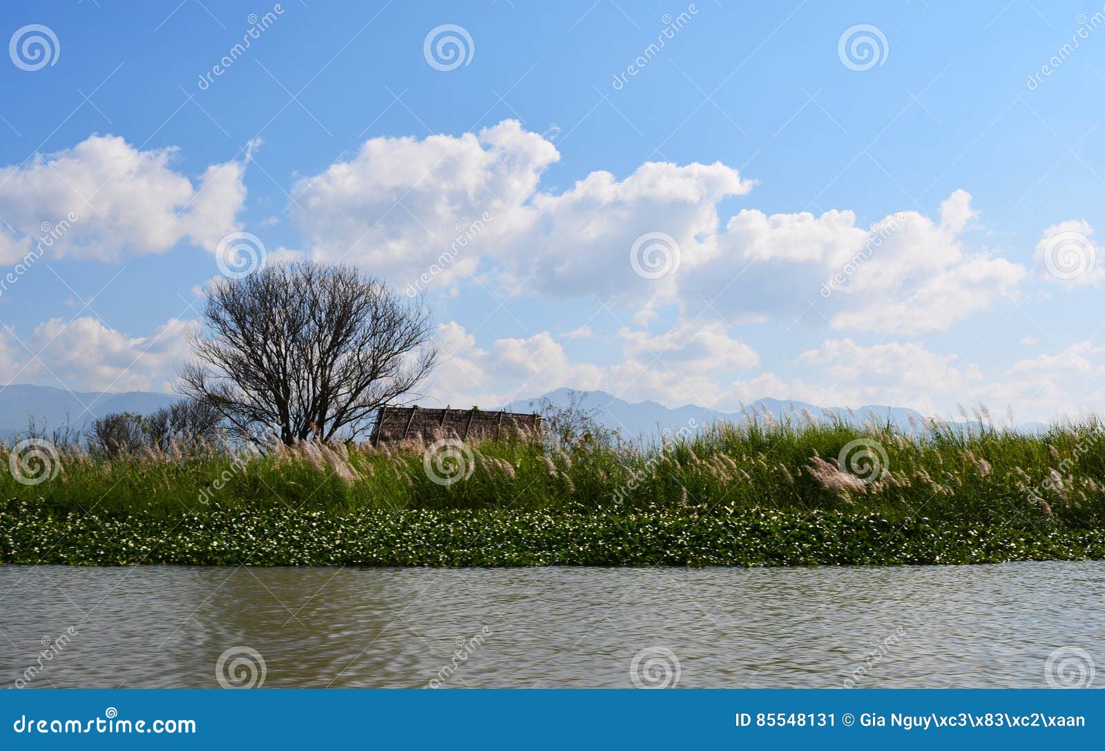 El lago Inle, también conocido como savia de Inle, es un lago de agua dulce situado en el municipio de Nyaungshwe de distrito de Taunggyi de Shan State, parte de Shan Hills en Myanmar Birmania Es el segundo mayor lago en Myanmar con una superficie estimada de 44 9 millas cuadradas 116 km2, y una del más alta en una elevación de 2.900 pies 880 m Durante la estación seca, la profundidad de agua media es 7 pies 2 1 m, con el punto más profundo siendo 12 pies 3 7 m, pero durante la estación de lluvias esto pueden aumentar en 5 pies 1 Centro financiero de mundo de Shangai (izquierdo), 492 M