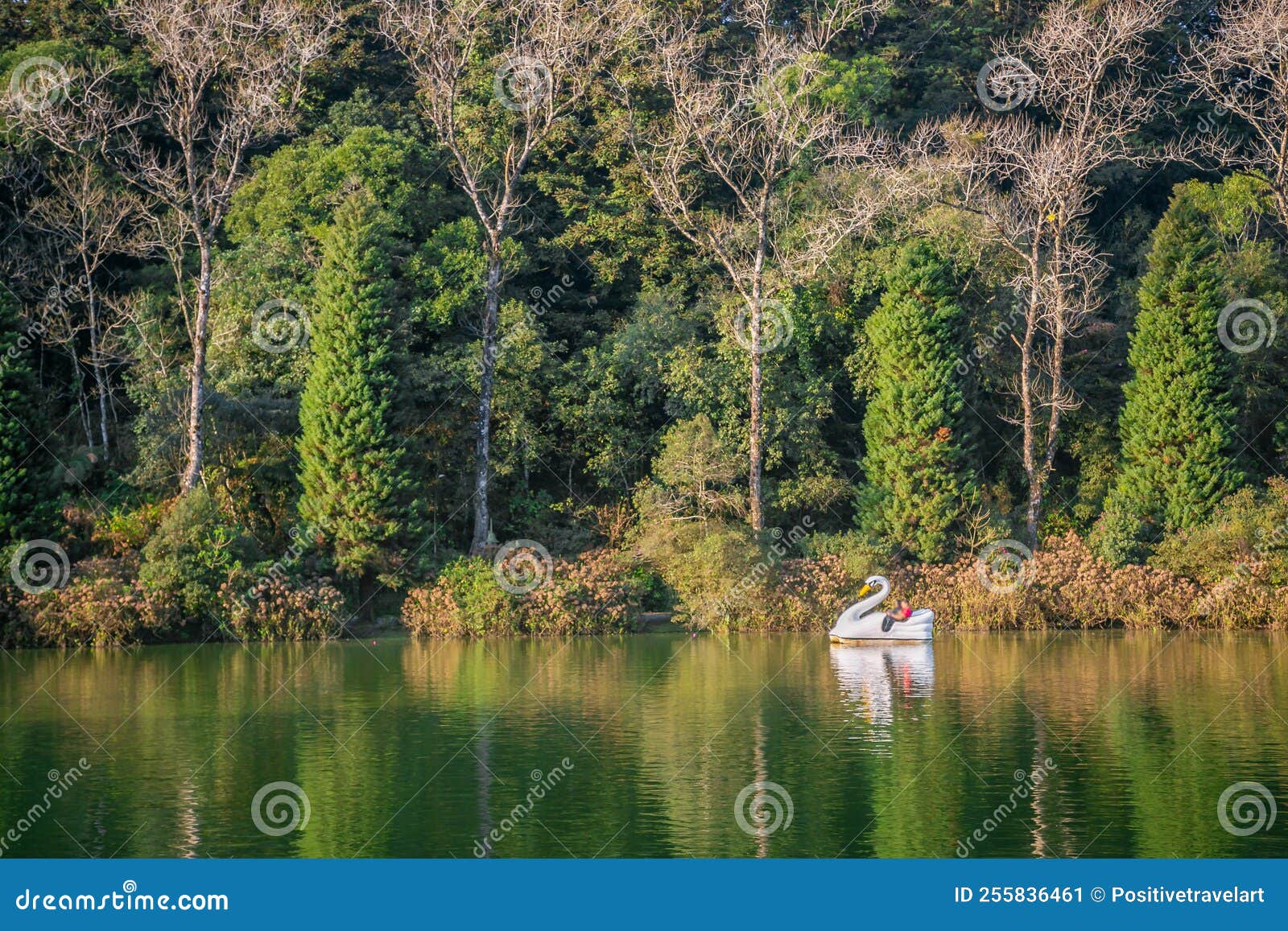 lago negro, black lake, and swan pedal boat, gramado, rio grande do sul, brazil