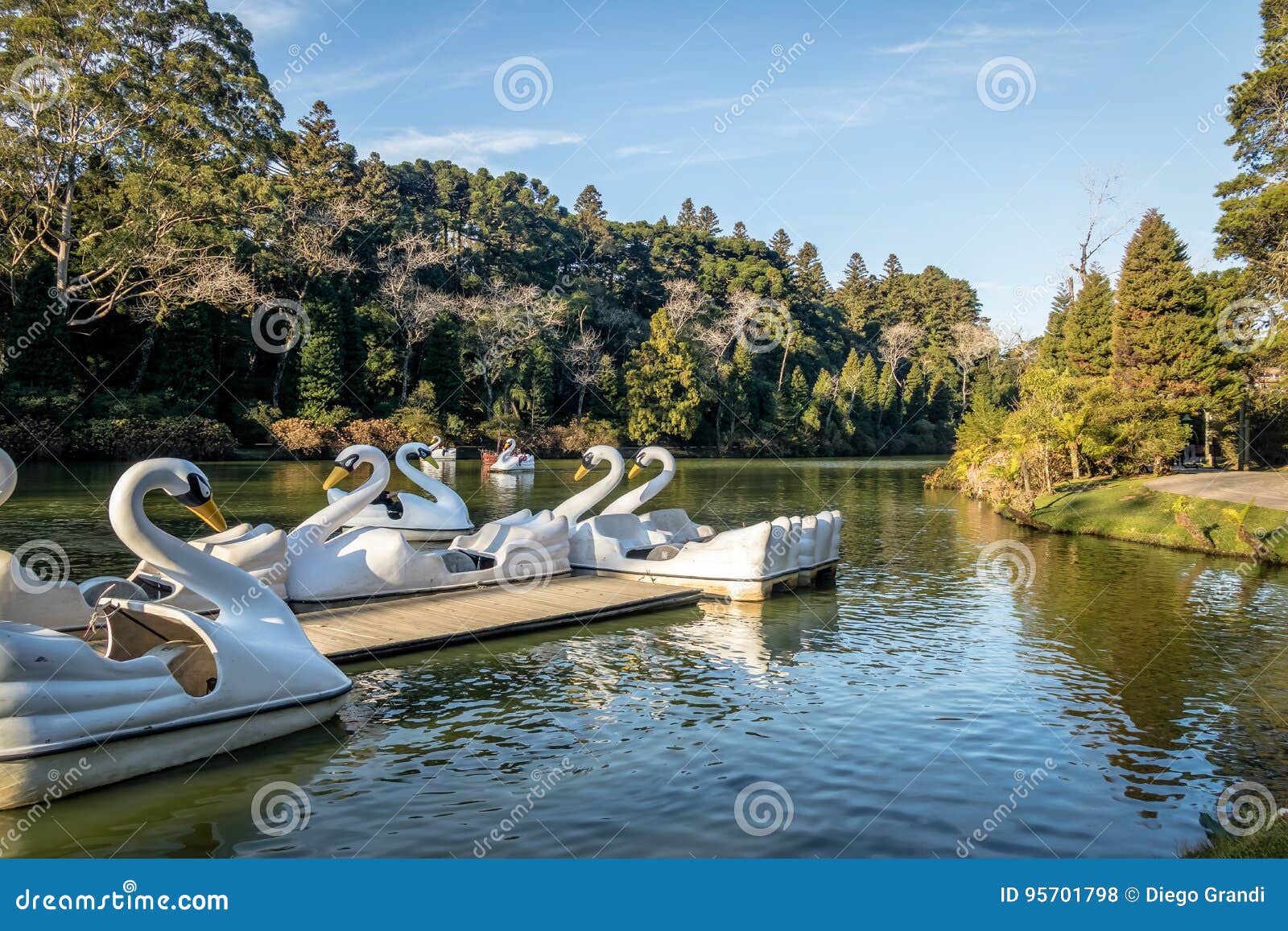 lago negro black lake with swan pedal boats - gramado, rio grande do sul, brazil