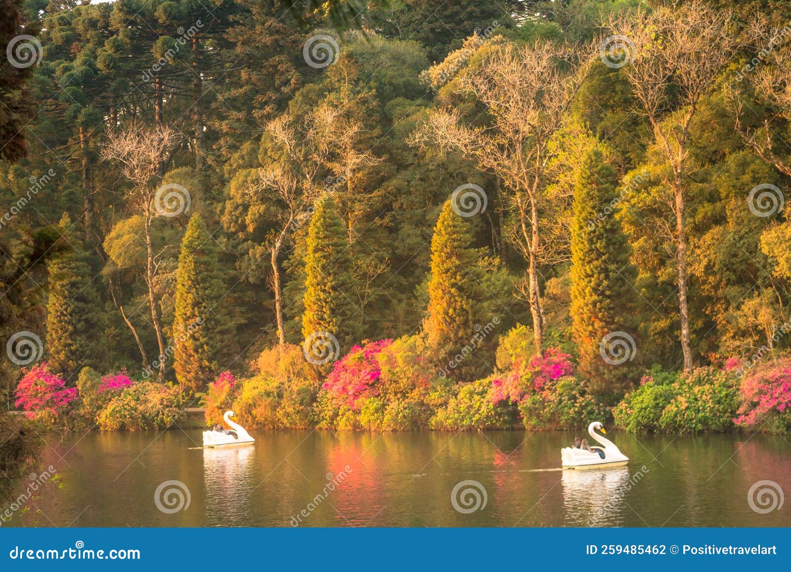 lago negro, black lake, and swan pedal boats, gramado, rio grande do sul, brazil