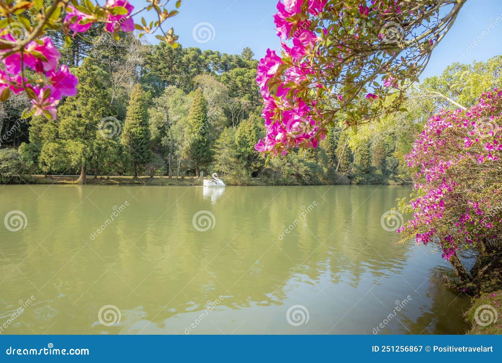 lago negro black lake with swan pedal boat - gramado, rio grande do sul, brazil