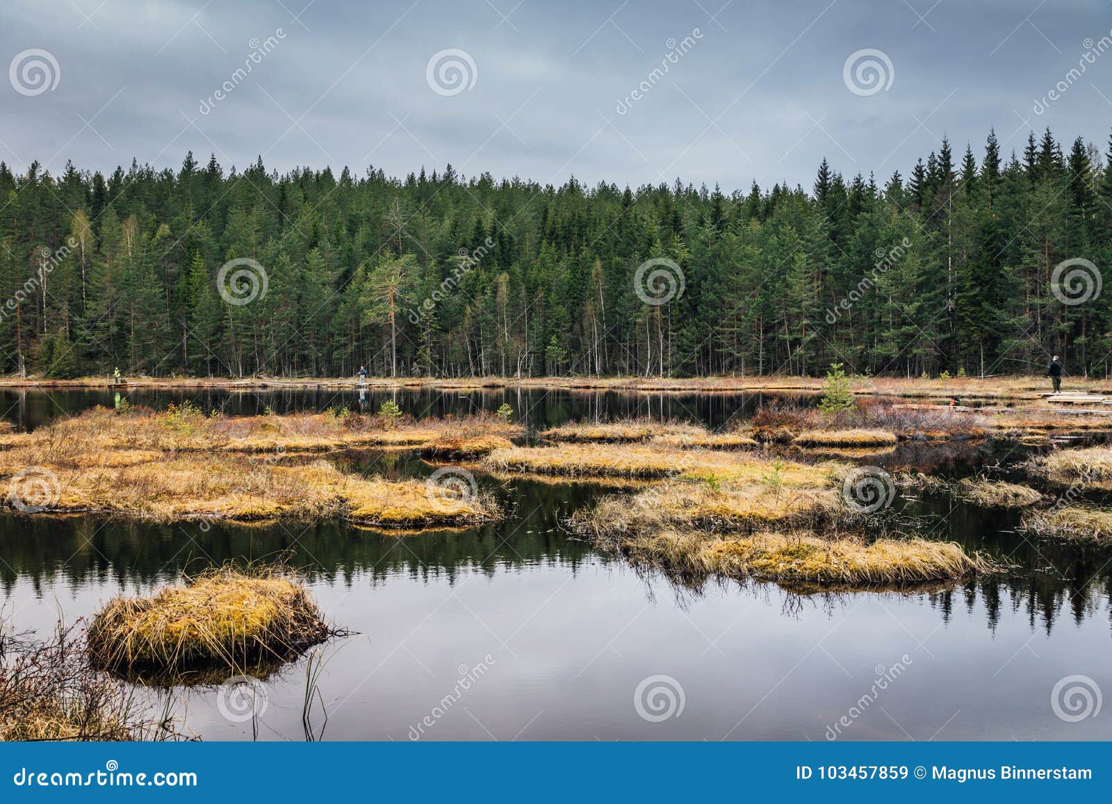 Lago pequeno da pesca com mosca na Suécia. O lago ou tarn pequeno da pesca com mosca na Suécia com imóvel e o espelho gostam da água e dos povos que pescam com as hastes da carcaça da pesca com mosca