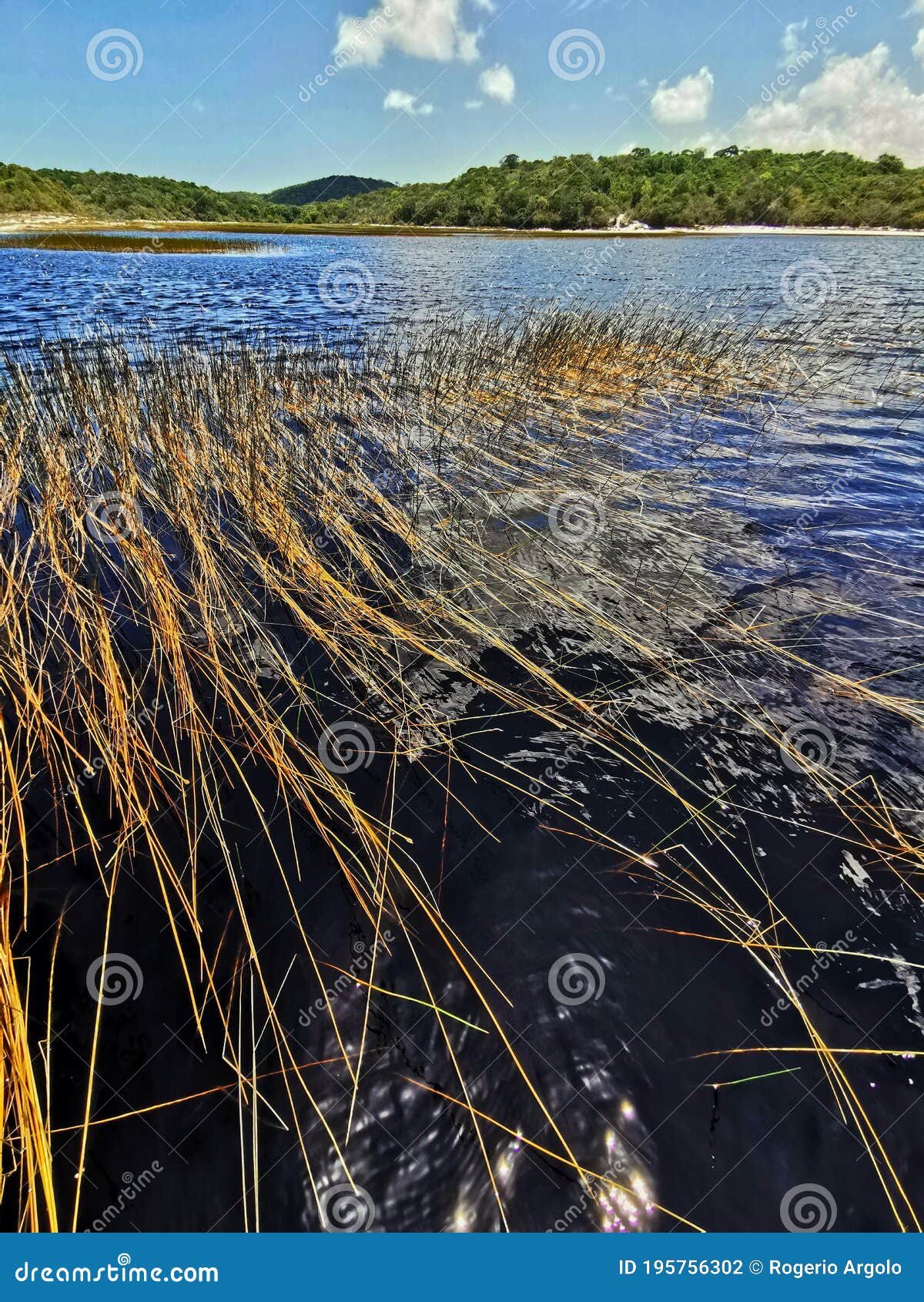 lagoa da coca cola, baia formosa, rio grande do norte, nordeste, brazil