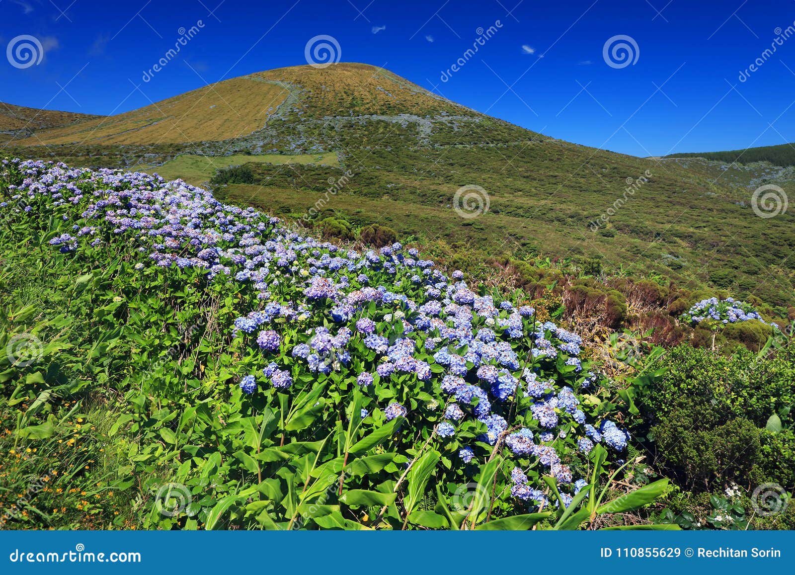 the shores of lagoa funda das lajes, flores island