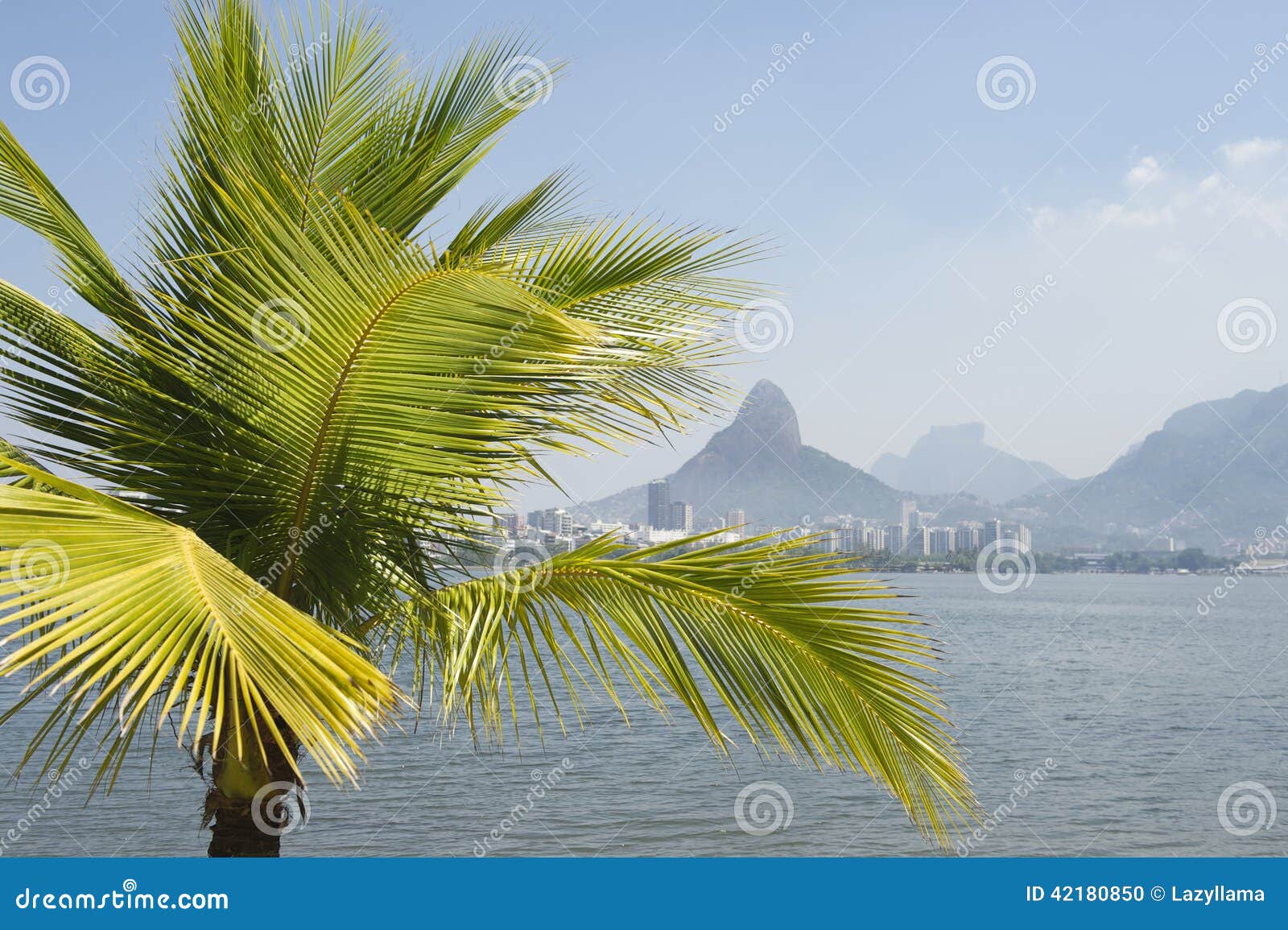 lagoa rio de janeiro brazil scenic skyline palm tree