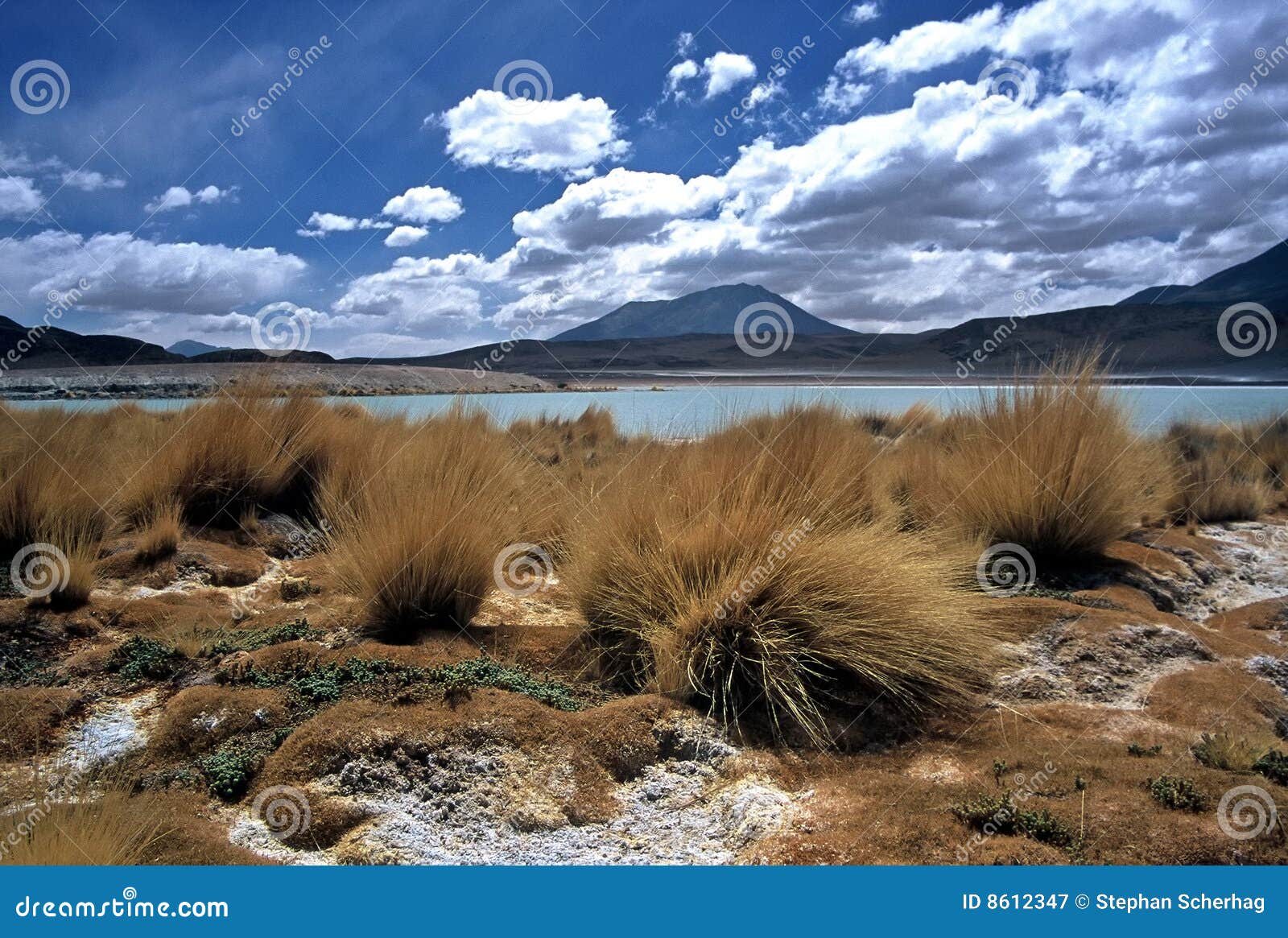 lagoon on altiplano in bolivia, bolivia