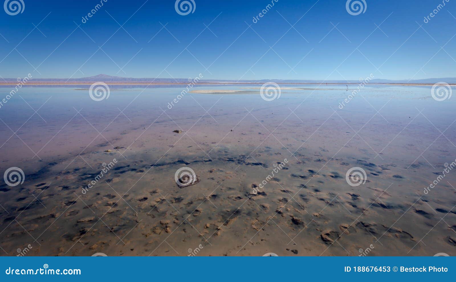 lanscape of of the lagoon. taken during with some flamingos at the background at chaxa lagoon at flamingos national park at los