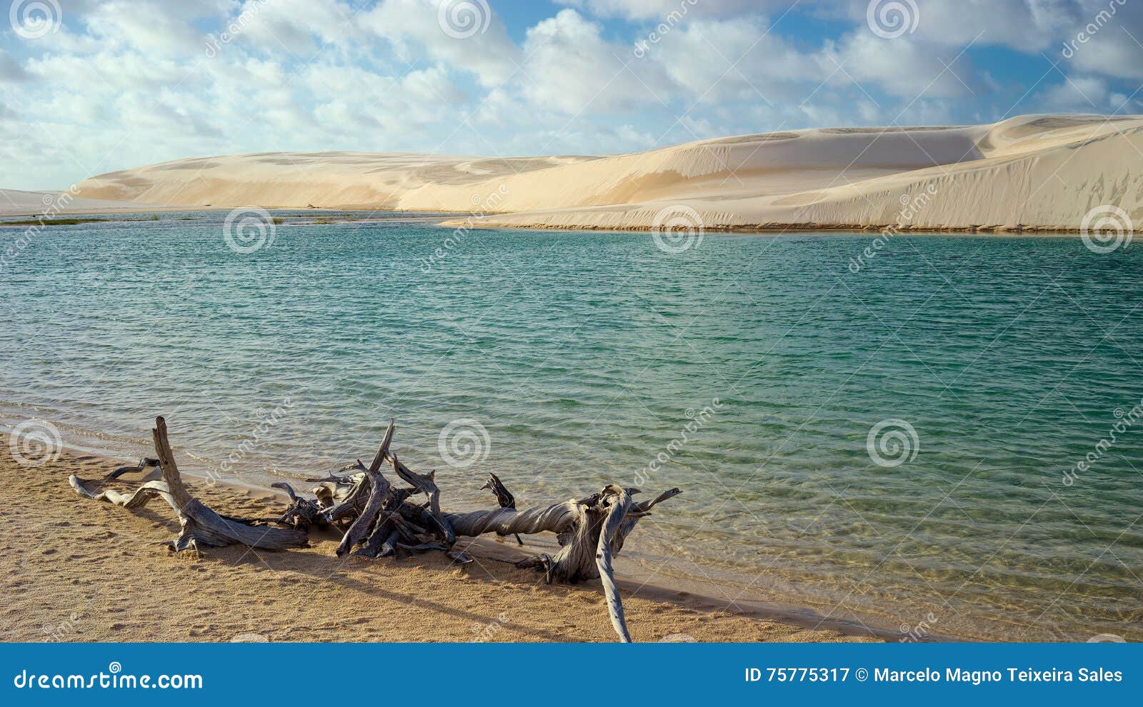 lagoon and dunes at grandes lencois, lencois maranhenses national park, maranhao, brazil