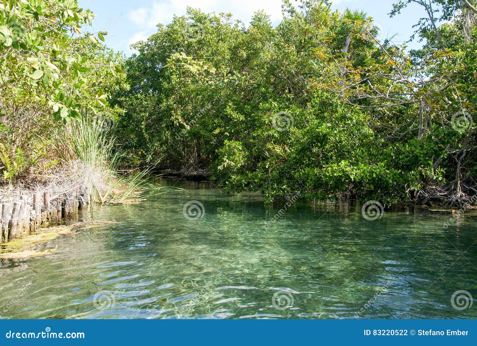 the lagoon of ojo at holbox island