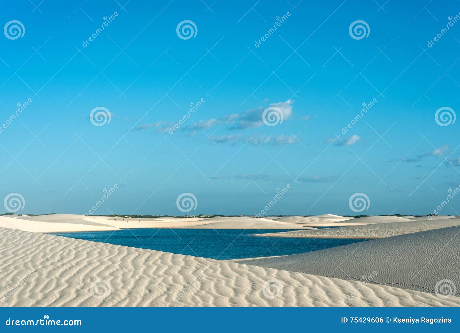 lagoons in the desert of lencois maranhenses national park