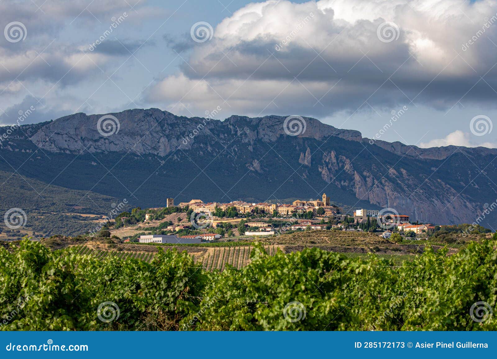 laguardia among the vineyards