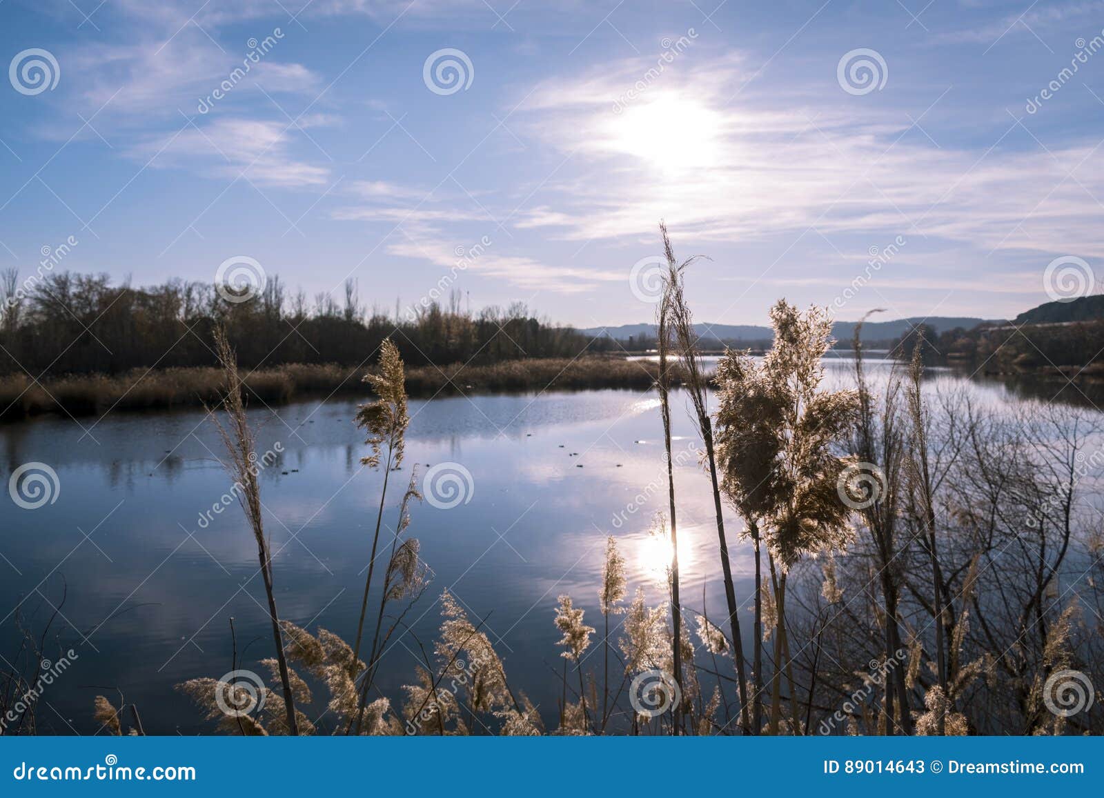 laguna al atardecer