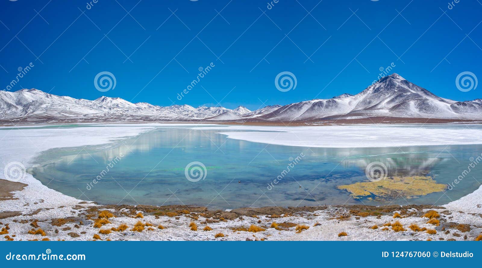 laguna blanca, sud lipez province, potosi bolivia