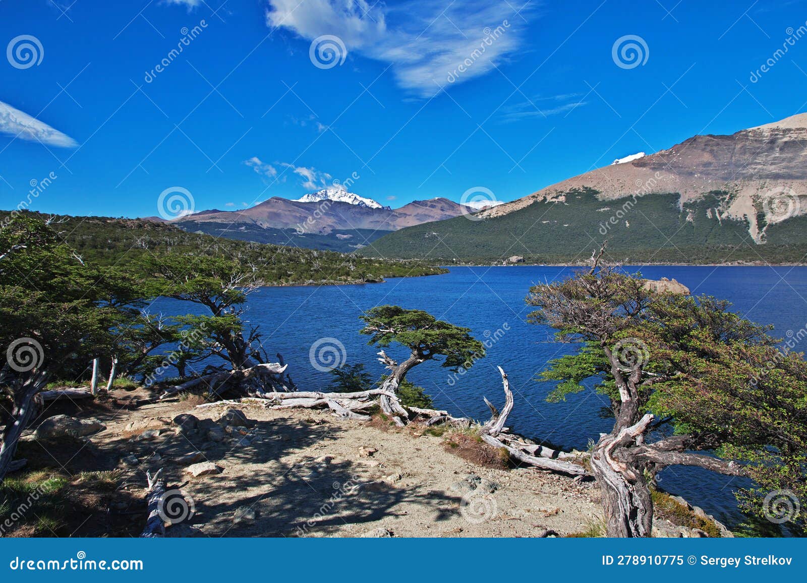Laguna Capri Close Fitz Roy, El Chalten, Patagonia, Argentina Stock ...