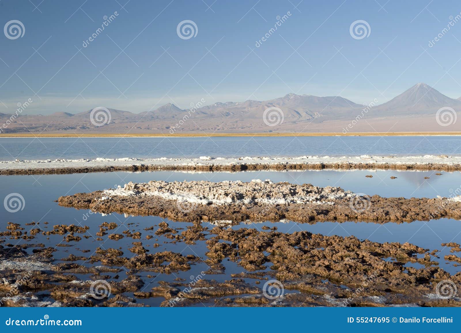 laguna cejas