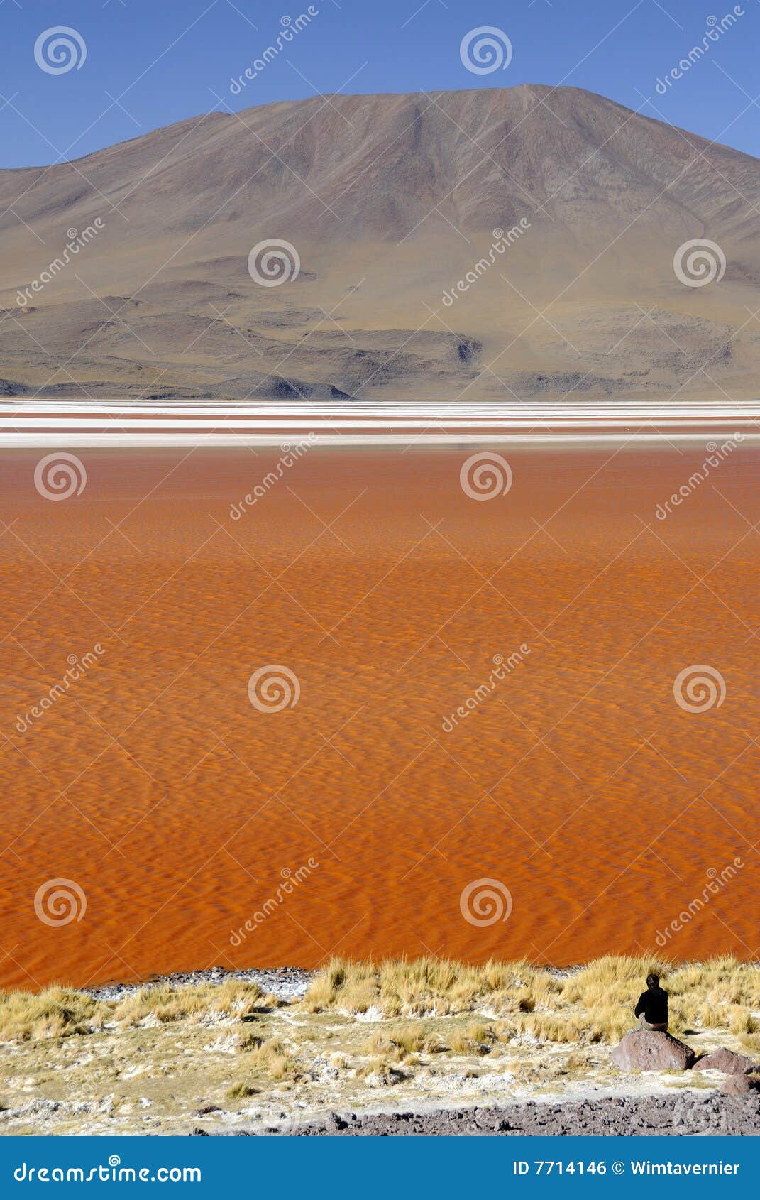 laguna colorada, altiplano, bolivian andes