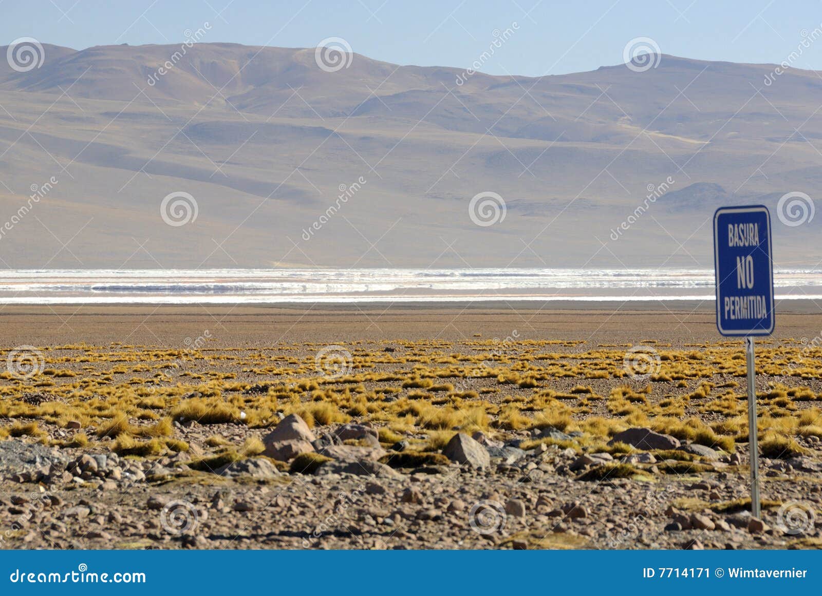 laguna colorada, altiplano, bolivian andes