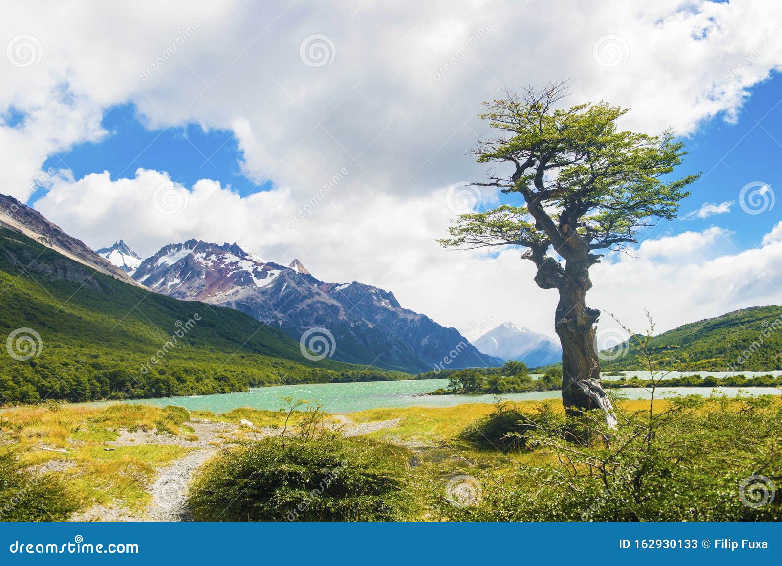 laguna nieta lake in los glaciares national park in argentina