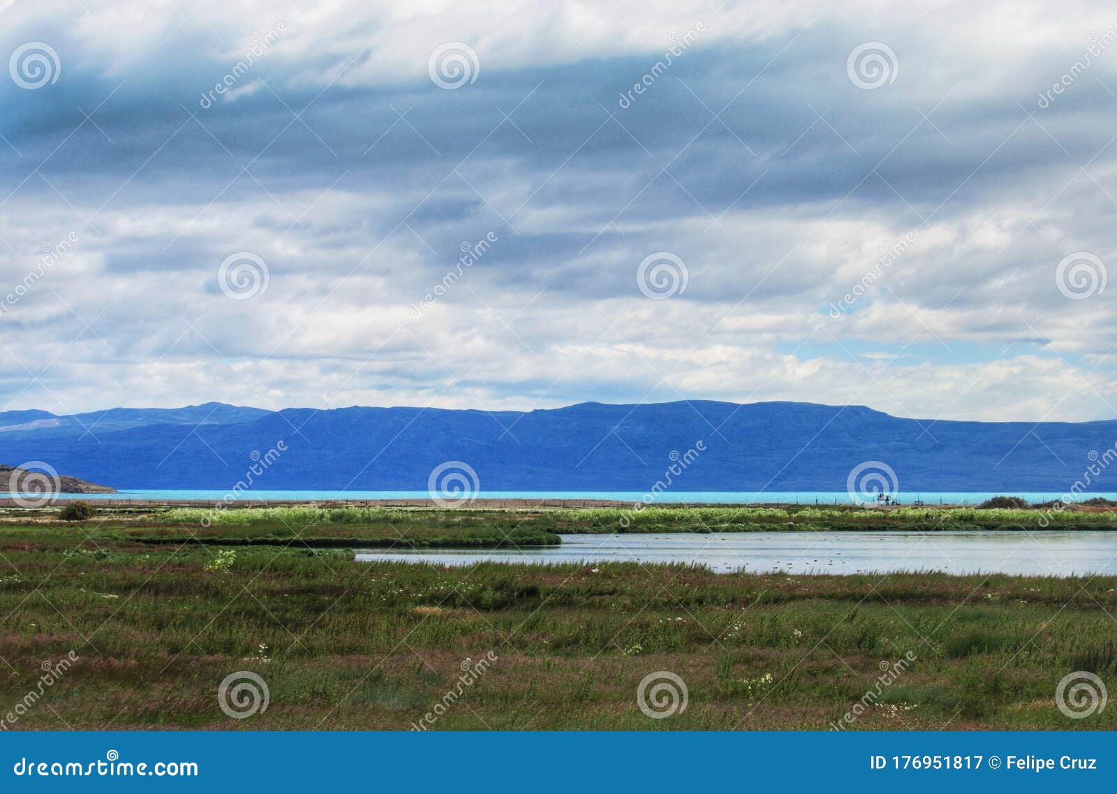 laguna nimez reserve before lake argentino and andes mountains, el calafate, argentina.