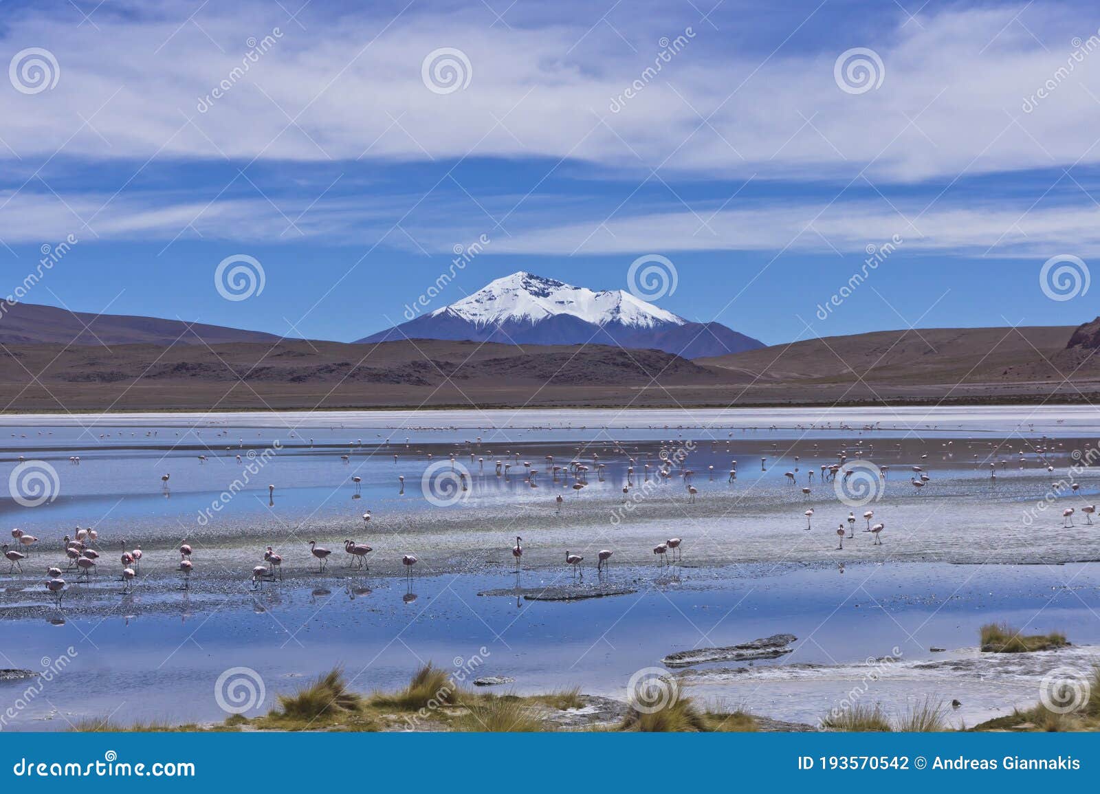 laguna pasto grande, bolivia, south america