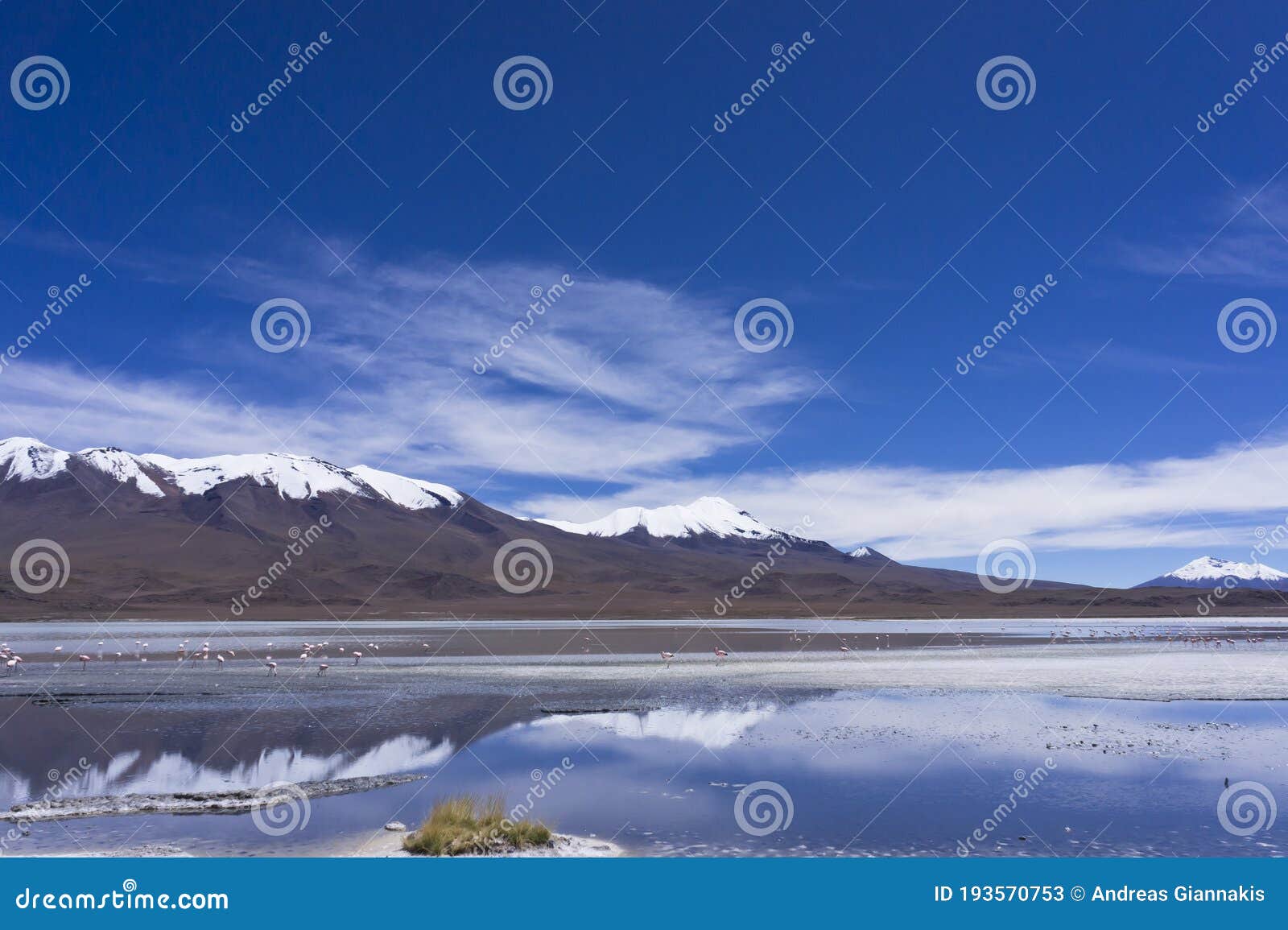 laguna pasto grande, bolivia, south america