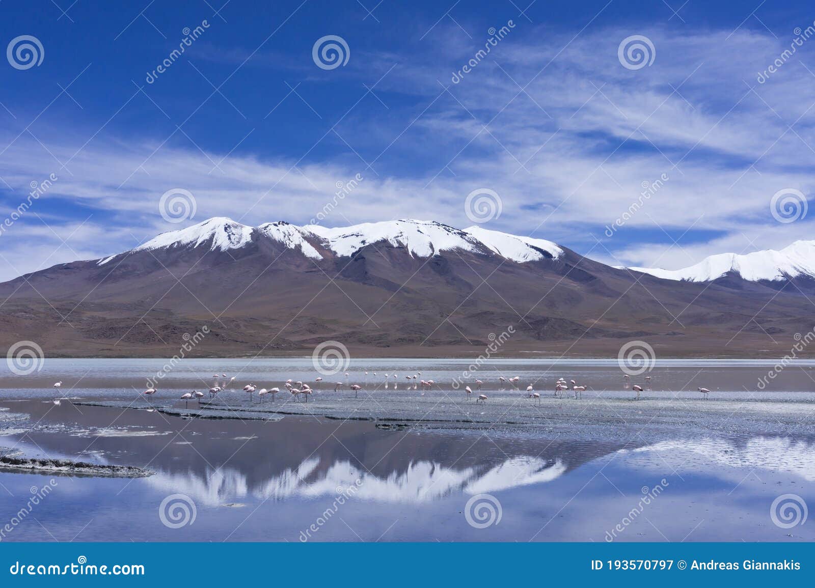 laguna pasto grande, bolivia, south america