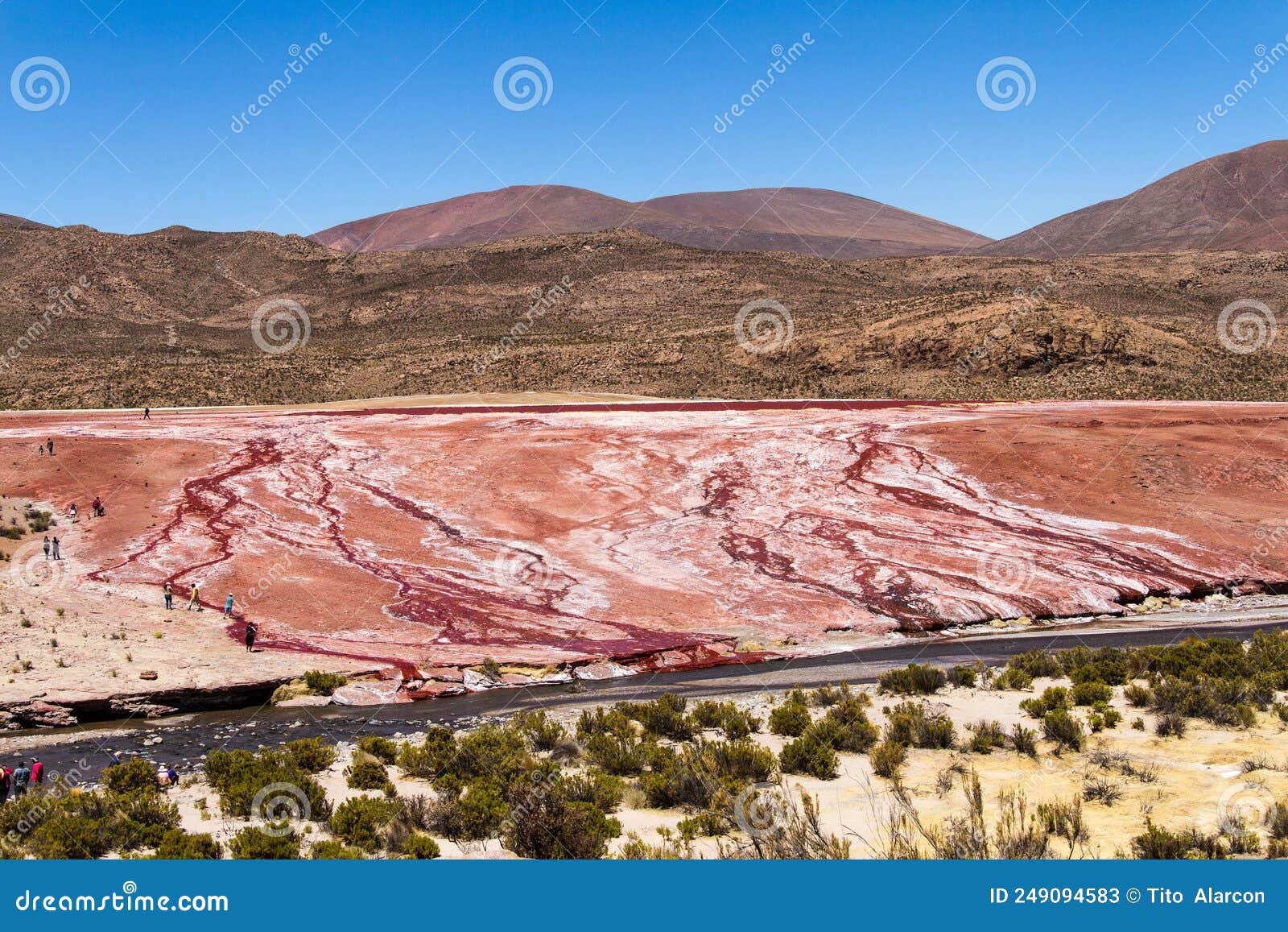 red lagoon. laguna roja, altiplano chileno