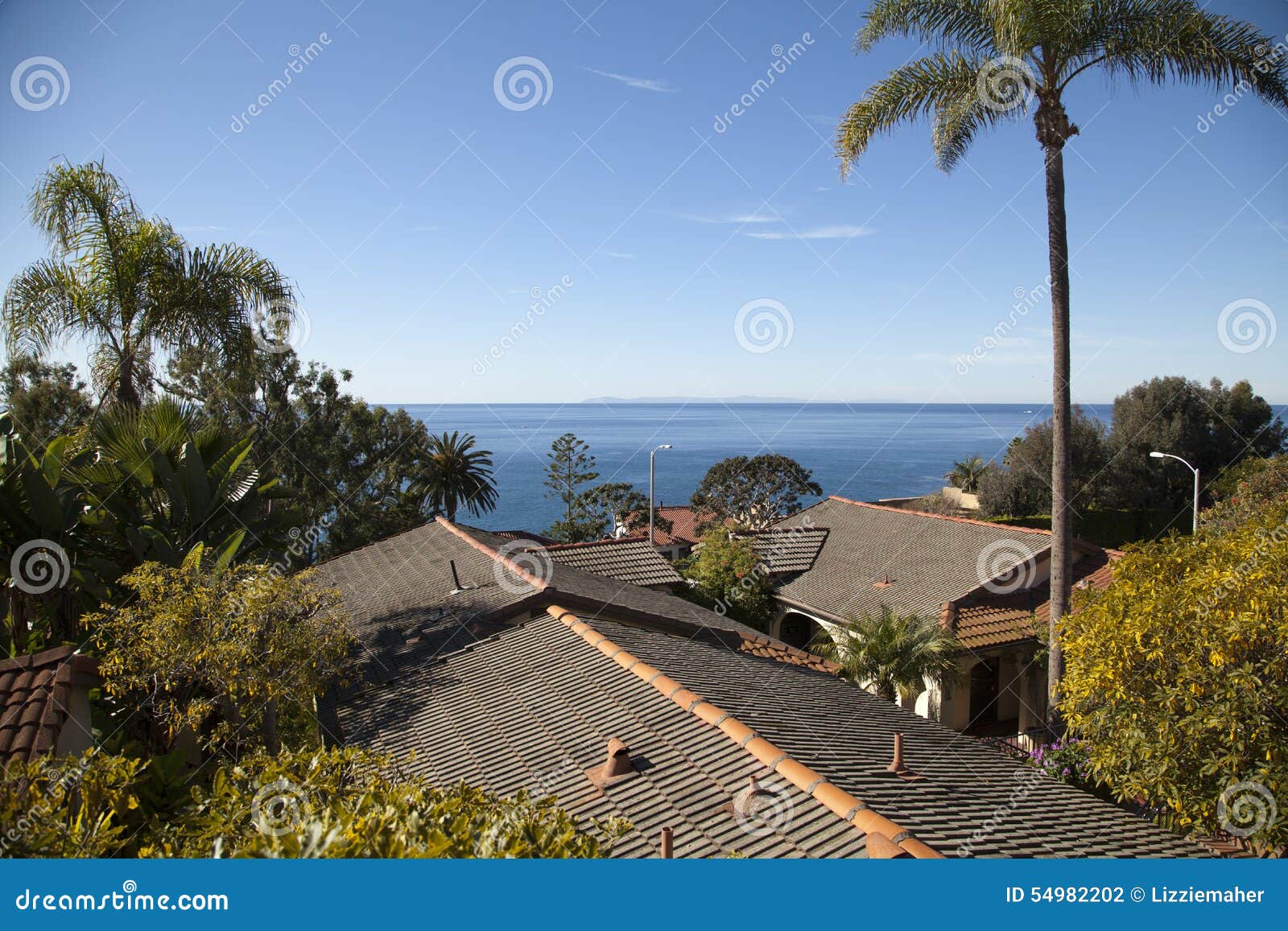 Laguna Rooftops stock photo. Image of orange, palm, county 54982202