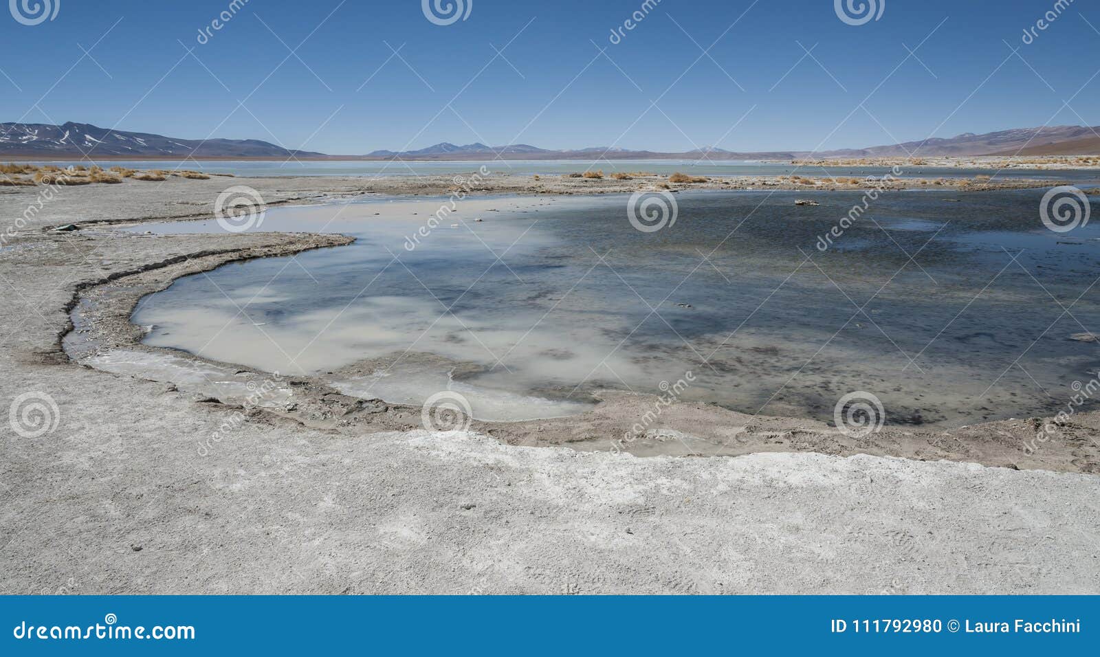 laguna y termas de polques hot spring pool with salar de chalviri in background, salar de uyuni, potosi, bolivia