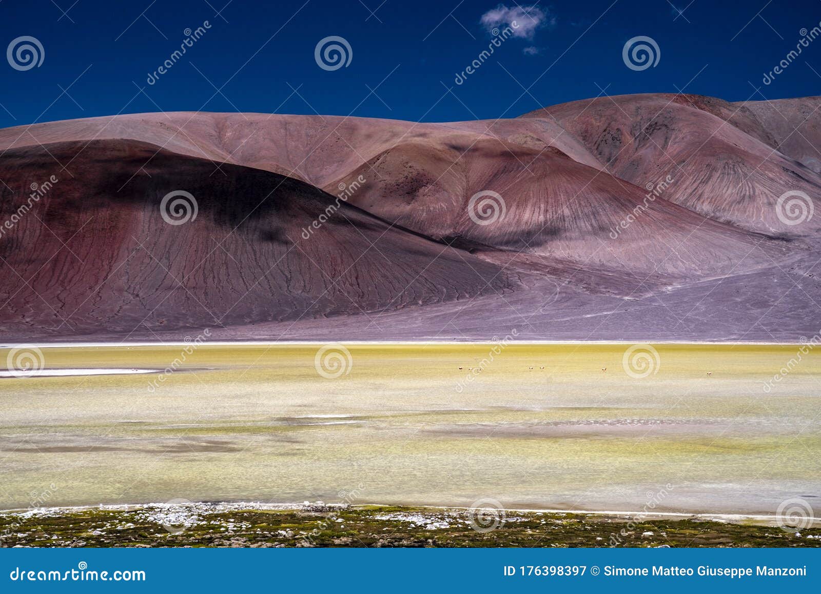 lagunas de los aparejos, la puna, argentina