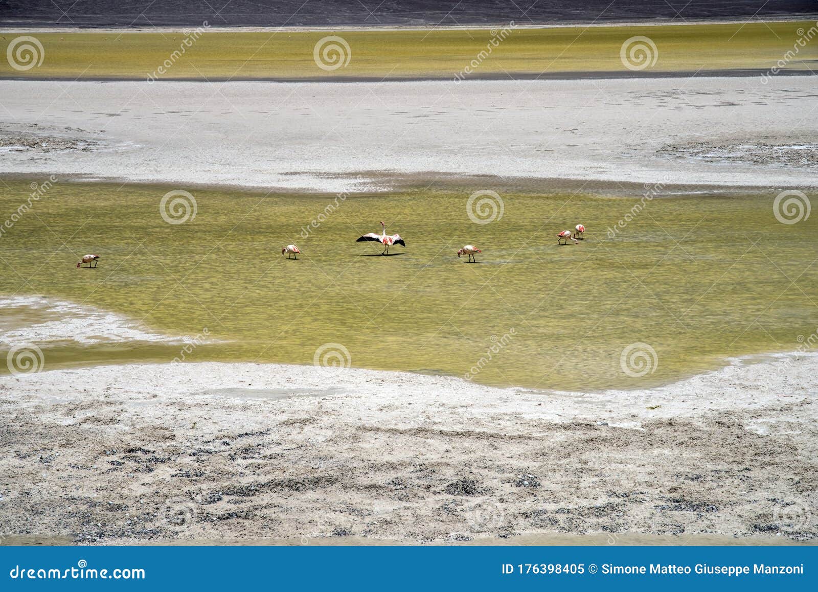 lagunas de los aparejos, la puna, argentina