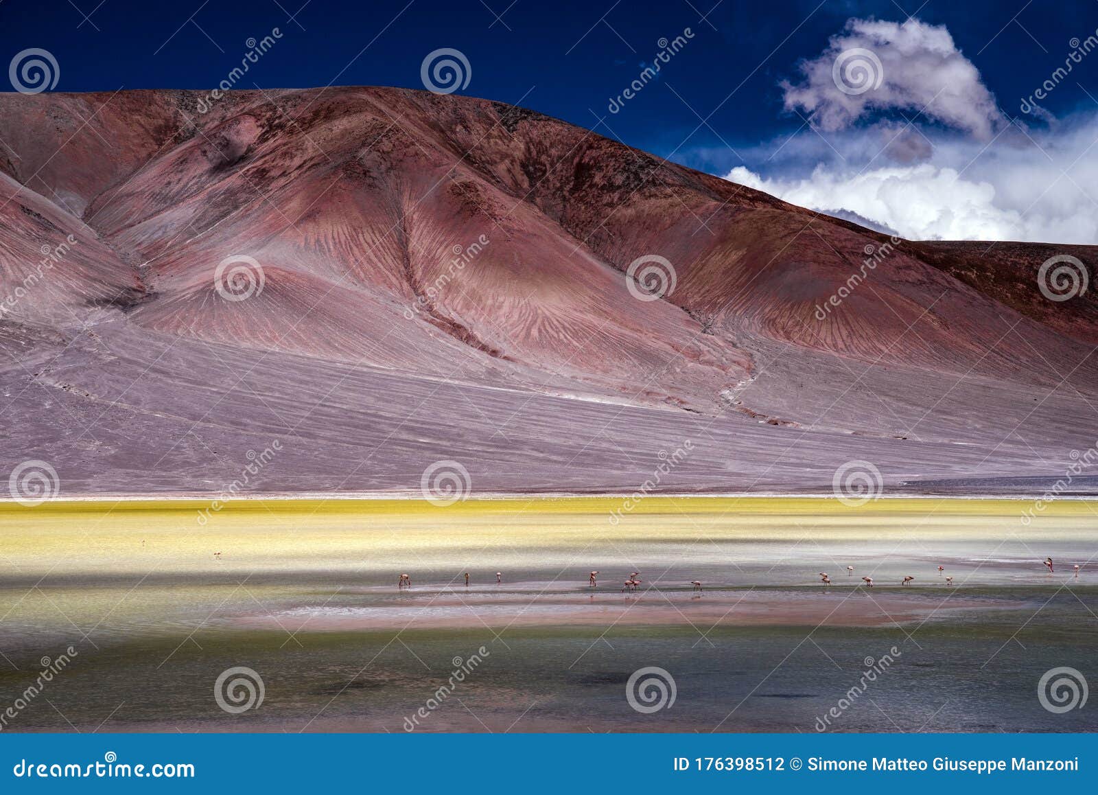 lagunas de los aparejos, la puna, argentina